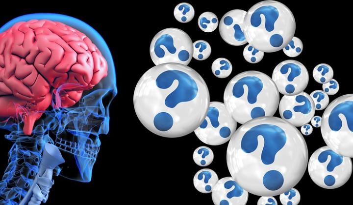 Jak si trénovat mozek aneb neurobik | rady Jak si trénovat mozek aneb neurobik | rady