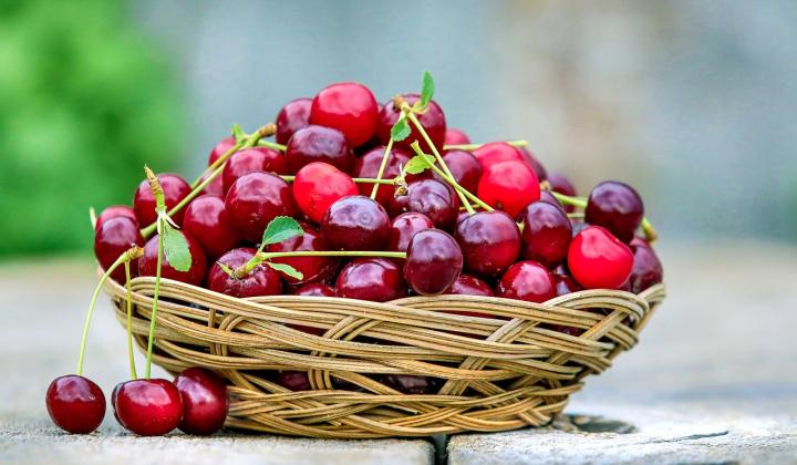 Jak udělat griotku | recept na domácí likér Jak udělat griotku | recept na domácí likér