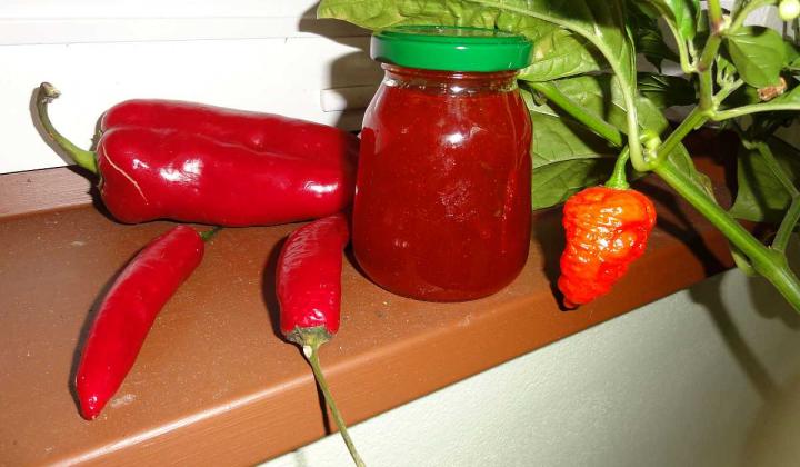 Jak připravit domácí BBQ omáčku z jahod a borůvek | letní recept Jak připravit domácí BBQ omáčku z jahod a borůvek | letní recept