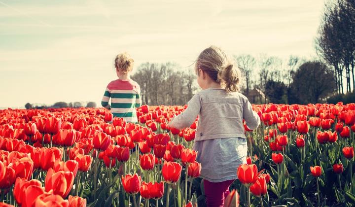 Jak žádat o přídavky na děti | rady Jak žádat o přídavky na děti | rady