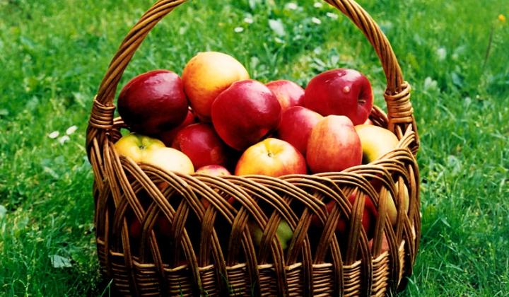Jak zpracovat přebytek jablek | recepty Jak zpracovat přebytek jablek | recepty