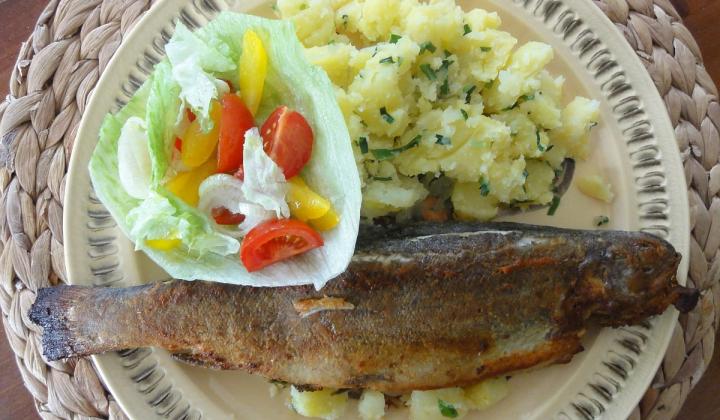 Jak upéct pstruha v troubě | recept Jak upéct pstruha v troubě | recept