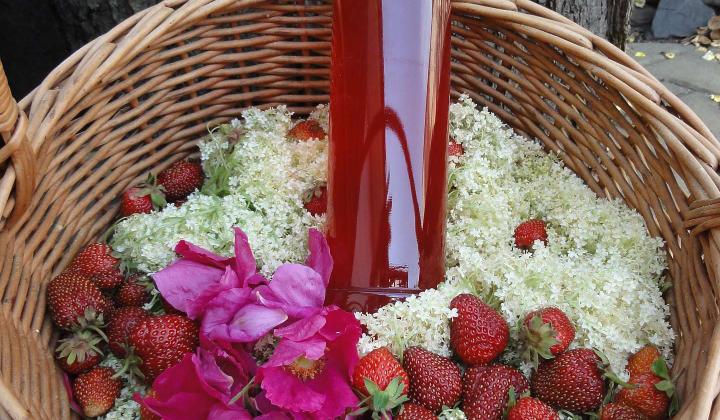 Jak udělat vařený a nevařený jahodový sirup | recept Jak udělat vařený a nevařený jahodový sirup | recept