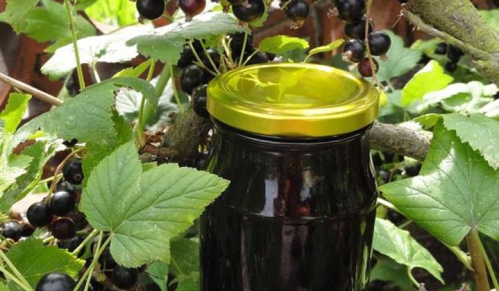 Jak uvařit kečup z černého rybízu | recept Jak uvařit kečup z černého rybízu | recept