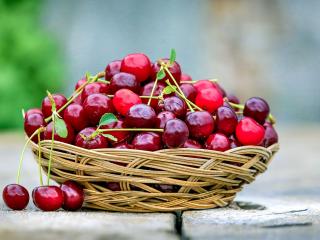 Jak udělat griotku | recept na domácí likér Jak udělat griotku | recept na domácí likér