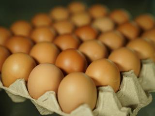 Jak vyrobit domácí vajíčkovou tlačenku | recept Jak vyrobit domácí vajíčkovou tlačenku | recept