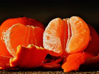 Jak v interiéru vypěstovat citrusy v zimě Jak v interiéru vypěstovat citrusy v zimě