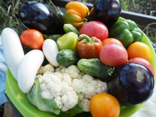 Jak sestavit vyvážený vegetariánský jídelníček Jak sestavit vyvážený vegetariánský jídelníček