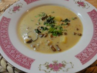 Jak uvařit houbovou krémovou polévku | recept Jak uvařit houbovou krémovou polévku | recept