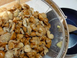 Jak připravit houbové šišky se smetanovou omáčkou | staročeský recept Jak připravit houbové šišky se smetanovou omáčkou | staročeský recept