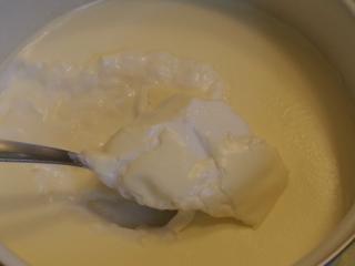 Jak na domácí tvaroh | recept