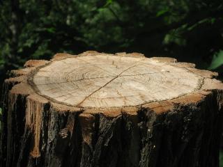 Jak se zorientovat v terénu Jak se zorientovat v terénu