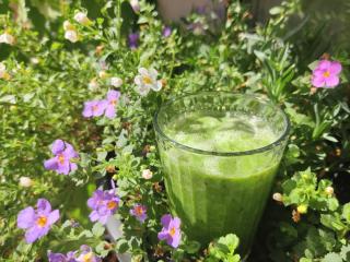 Jak namixovat jablečné smoothie s mátou a limetkou Jak namixovat jablečné smoothie s mátou a limetkou