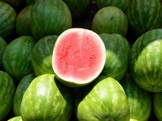Jak pěstovat meloun | rady Jak pěstovat meloun | rady