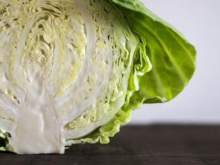 Jak uvařit couračku s kysaným zelím | recept Jak uvařit couračku s kysaným zelím | recept